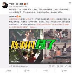 猪皮爆料杨颖原视频,揭秘明星背后的真实瞬间