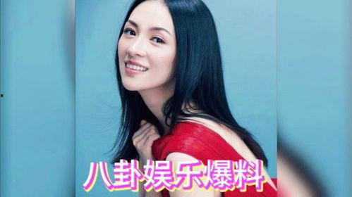 娱乐吃瓜明星团
